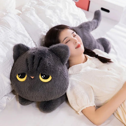 Gato de peluche